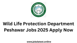 Wild Life Protection Department Peshawar Jobs 2025 Apply Now